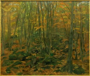 Kampesten i Odenwald