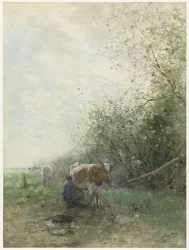 Malketid