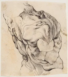 Anatomisk undersøgelse (écorché). Torso af en flået mand set fra bagsiden halvt vendt mod højre