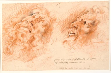 Laocoon. To undersøgelser af Laocoons ansigt, den ene ser ud nedefra og den anden i profil til venstre.