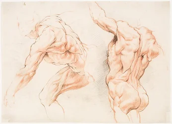 To anatomiske studier af en mand, der læner sig mod venstre, og en anden set bagfra med løftet arm (écorché)