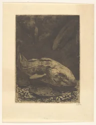 Fisk og vandplanter
