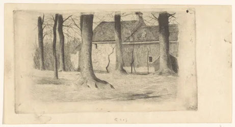 Træer ved et hus