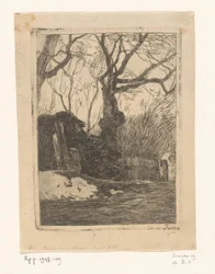 Træer og bøsser ved et hegn Kviste nær et hegn med træer (original titel)