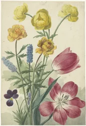 Buket af tulipaner, violer, druehyacinter og datters