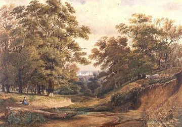 En scene i Bagley Wood nær Oxford (akvarel og kropsfarve)