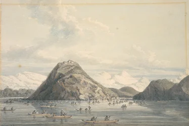 Port Dick, nær Cook