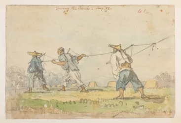 WD 959 § 2 f.41r