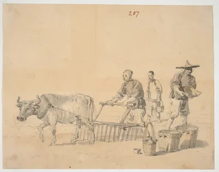 WD 961 f.207