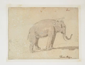WD 961 f.2