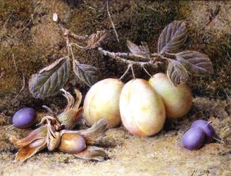 Stilleben med blommer og nødder