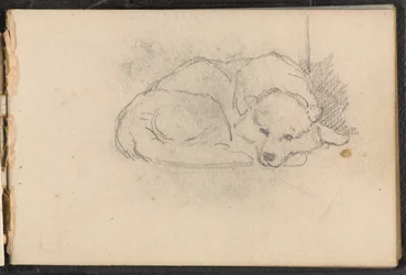 Skitse af en sovende hund, 1879 ca