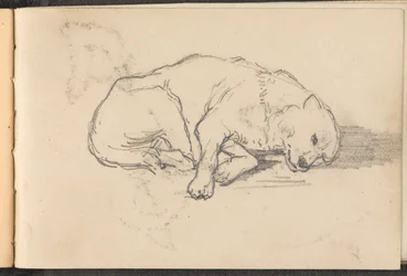 Skitse af en sovende hund, 1879 ca
