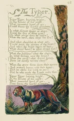 Digt med titlen "Tigeren", skrevet af William Blake