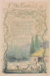 Sange om uskyld og erfaring, plade 18, "The Lamb" (Bentley 8)