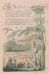 Sange om uskyld og om erfaring, plade 4, "The Shepherd" (Bentley 5)