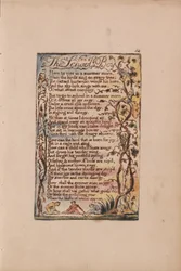 Sange om uskyld og erfaring, plade 54, The School Boy (Bentley 53)