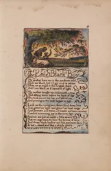 Sange om uskyld og erfaring, tavle 8, Den lille sorte dreng (Bentley 9)