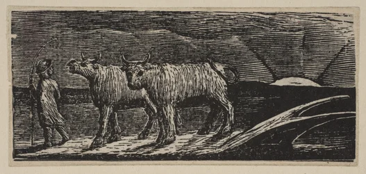 Unyokd Kvier, Loitering Homeward, fra Thorntons Pastorals of Virgil, 1821.