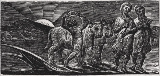 Med Songs the Jovial Hinds Return from Plough, illustration fra Dr. Thorntons 
