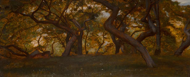 En skov nær Volterra, Italien (olie på panel)