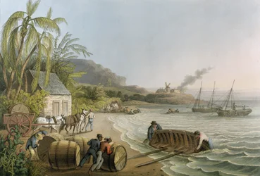 Transport og ombordlæsning af sukkerfade, tavle X fra «Ti udsigter på øen Antigua», udgivet af W. Clark, London, 1823