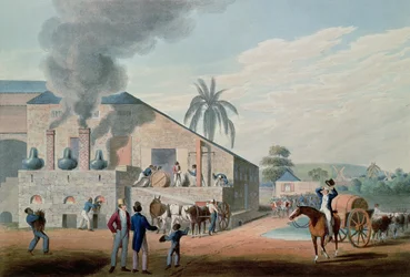 Slaver i gang med at producere rom på destilleriet i Antigua