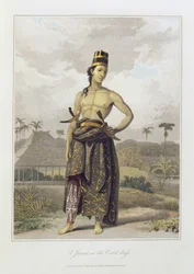 En javan i hofdragt, pl. 6 fra bind I af 