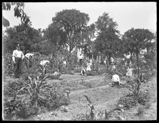 Børn, der arbejder i Isham Park skolehave, New York City, 16. august 1915