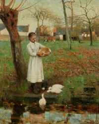 At fodre ænderne