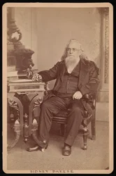 Portræt af Sidney Breese 1800-1878, før 1878.