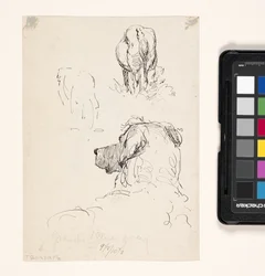 Dog (Recto), Dog And Cow (Verso) (pen og blæk på cremevævet papir)