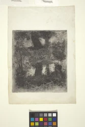 Landskab med faun og pool (reflekteret landskab) (ætsning)