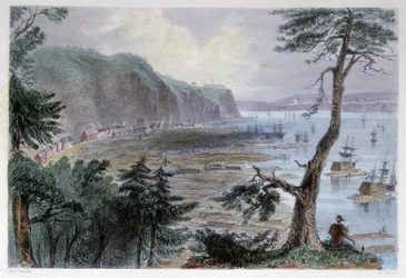 Træaflejring nær Quebec - i "" canadisk landskab illustreret" af Bartlett W. H.