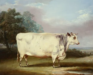 En præmieko, 1838