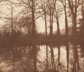 Vintertræer, reflekteret i en dam