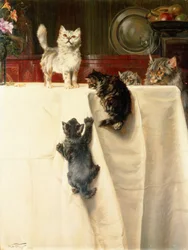 Katte