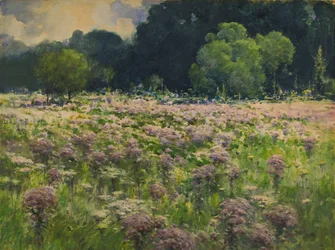 Field of Joe Pie Weeds Pride of the Meadow, n.d.