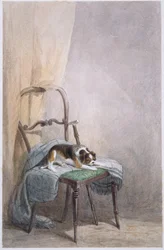 Studie af en hund på en stol (akvarel på papir)