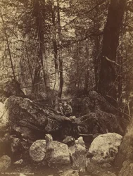 Sporet i West Gallatin Cañon, ca. 1870