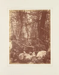 Sporet i skoven, Gallatin Cañon