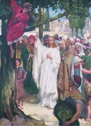 Zachæus, fra The Bible Picture Book udgivet af Thomas Nelson, ca. 1950