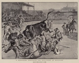 Et nedværdigende skue, Tyrekampen i Boulogne
