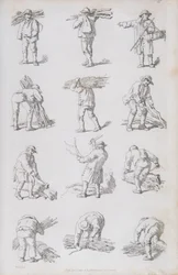 Illustration fra 