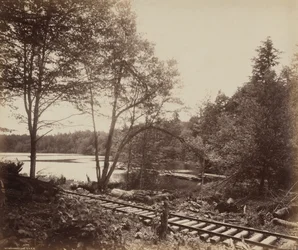Beechwood Lake, ca. 1895 (foto)