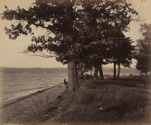 Cayuga Lake, Sheldrake, ca. 1895 (foto)