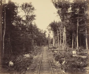 Ganoga Lake Branch, ca. 1895 (foto)