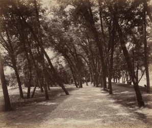 Picnicplads, ca. 1895 (foto)