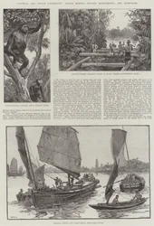 Colonial and Indian Exhibition, North Borneo, Straits Settlements og Hong-Kong