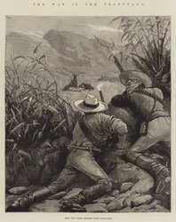Krigen i Transvaal